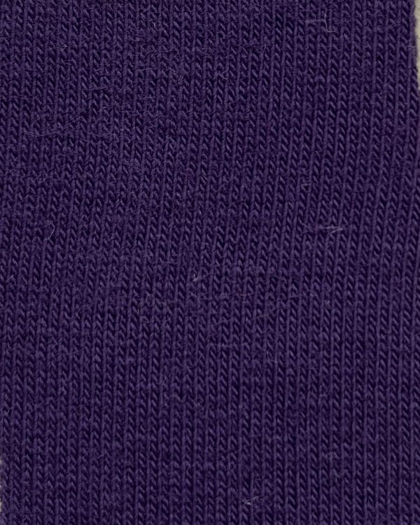 Tamsiai violetinis kilpinukas